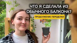 Румтур: Мой уютный сад на балконе своими руками