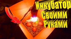 Самый дешевый инкубатор своими руками! Закладка яиц от А до Я, день 1.