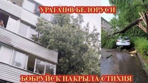 Ураганный ветер в Беларуси❗ Бобруйск сдуло❗