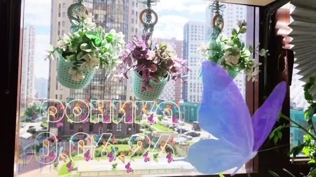 30.06.26☘️Хроника из оранжереи ☘️🤗