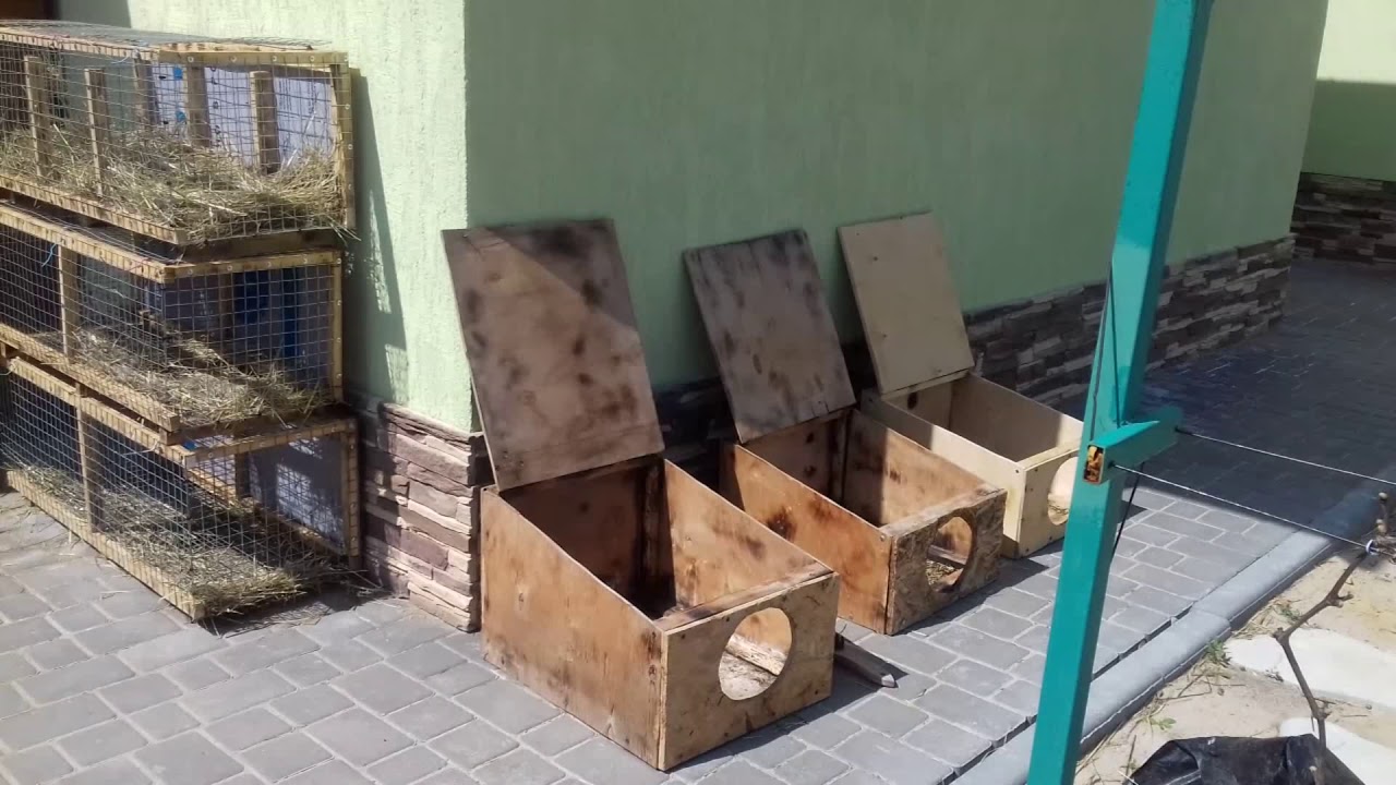 Мебель из полетов (поддонов), что в теплице в апреле, готовим двор к пасхе, загон для мулардов смотреть онлайн