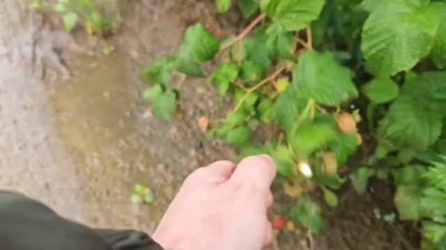 Бизнес топит не ливень. Его топят решения, которые вовремя не приняли