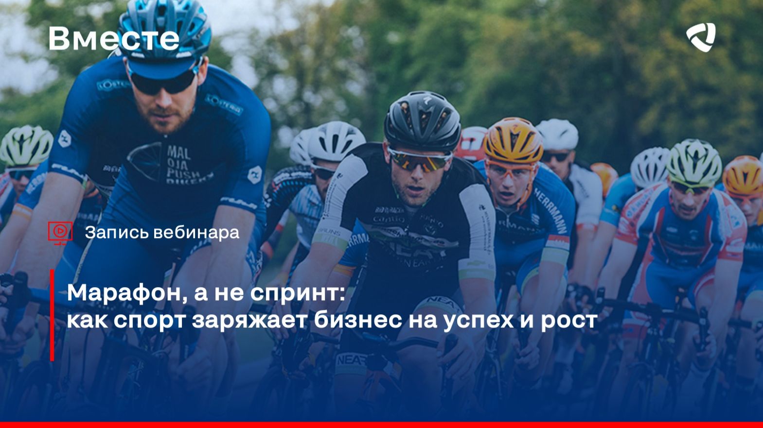 Бизнес вебинары