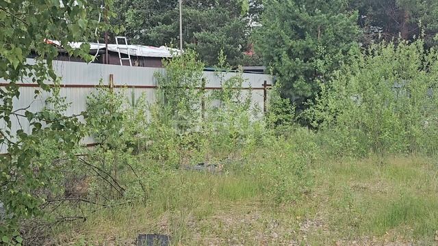 13235811 Победит 1 смотреть онлайн