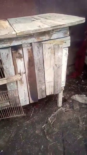 Клетка для перепелов своими руками