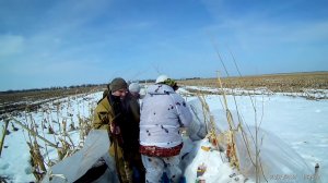 Охота на гуся 2017 (открытие)