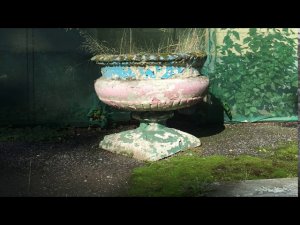 Петергоф заброшенный. Готические дома.
