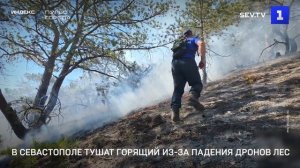 В Севастополе тушат горящий из-за падения дронов лес