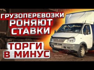Роняют ставки в наглую,грузоперевозки на газели, рейс Москва