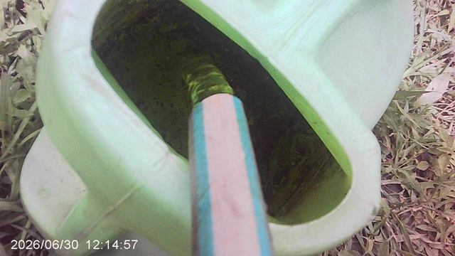 Подкормка кабачков Буйскими удобрениями: растворяю удобрения водой