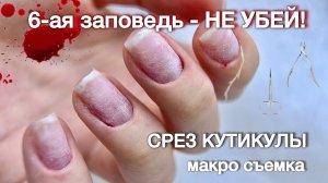 Как срезать кутикулы без крови? Срез кутикулы ножницами и кусачками чисто. Правила среза кутикулы.