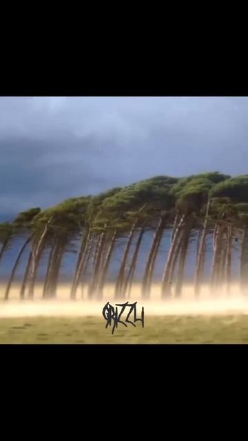 Эдит воздухану (не моё)
