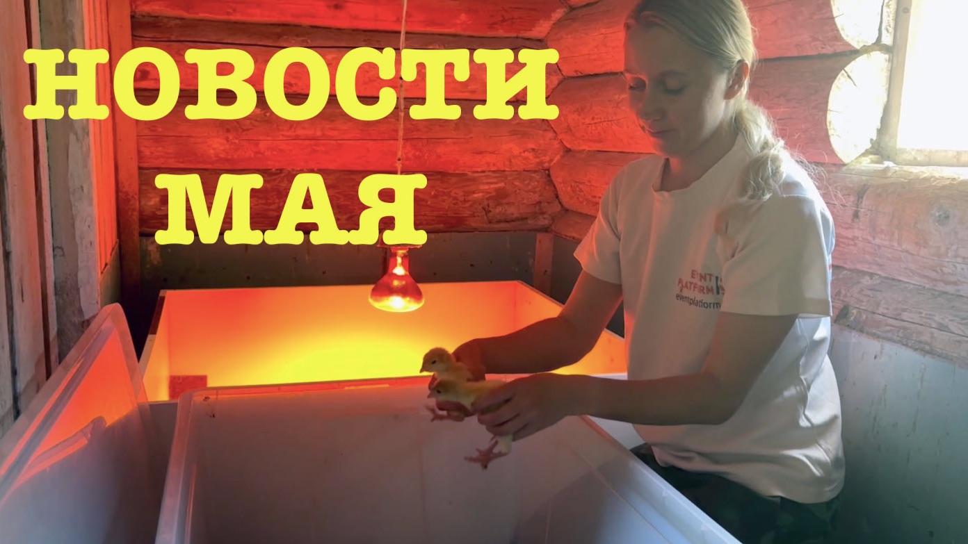 #185. Сад. Огород. Индюшата. [Жизнь на своей земле] смотреть онлайн