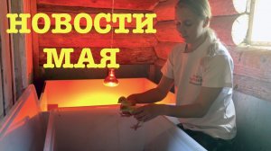 #185. Сад. Огород. Индюшата. [Жизнь на своей земле]