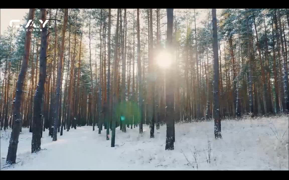 LIVE: C.A.Y. Records Digital Record Label смотреть онлайн