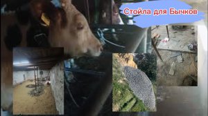 Как сделать стойла для Бычков