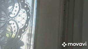 Как избавиться от скрипа дверных петель! Три секунды и в Вашем доме тишина!