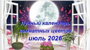 Лунный календарь комнатных растений и цветов на июль 2026 года