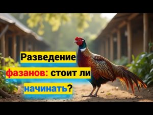 Разведение фазанов: ошибки новичков.Реальная выгода и нюансы