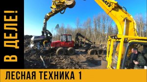 ХАРВЕСТЕР и ФОРВАРДЕР на валке леса / Расчищаем под ВСМ в Великом Новгороде