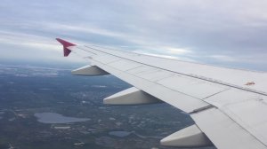 Перелёт Сургут-Санкт-Петербург|Trip report Surgut-St Petesburg Airbus A319 Rossiya Airlines