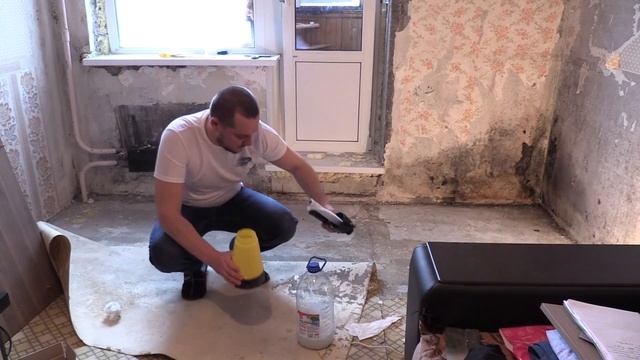 Удаление плесени ООО "Новый формат" смотреть онлайн