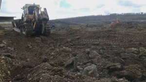 бульдозер d355 рыхлит под эливатор