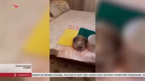 Жители дома на ул. Чкалова, 43 жалуются на состояние кровли