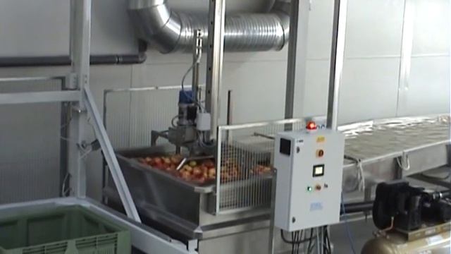 Линия мойки и сортировки яблок ICOEL. смотреть онлайн