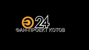 История Эфир-24 Котики