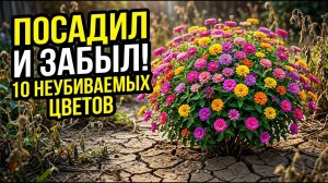 10 цветов которые не умирают. Посадил один раз и забыл навсегда