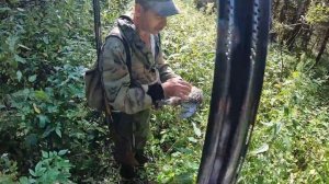 ОХОТА НА РЯБЧИКА ОСЕНЬЮ  РАБОТЫ В ЛЕСУ.  ПОСТРОИЛИ БЕСЕДКУ.  ЛЕСНАЯ ИЗБА. ОХОТА. ЖИЗНЬ В ДЕРЕВНЕ.