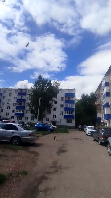 1000443506.mp4 смотреть онлайн