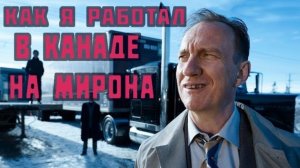 Воспоминания (март 2019): как я работал на афериста Мирона из Израиля!