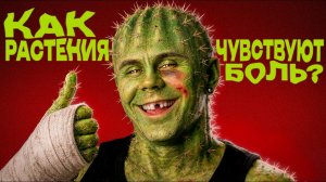 Вы НИЧЕГО не знаете о РАСТЕНИЯХ — ТОПЛЕС