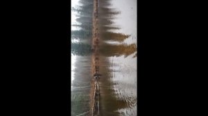 охота рыбалка
