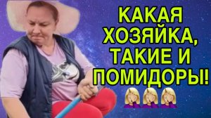 КАКАЯ ХОЗЯЙКА, ТАКИЕ И ПОМИДОРЫ! ОЛЬГА ИЗ ЗАУРАЛЬЯ. ОБЗОР.