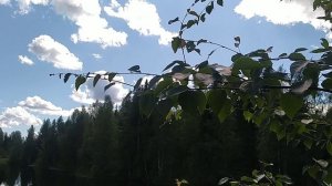 Природа. Релакс. Музыка от ИИ.