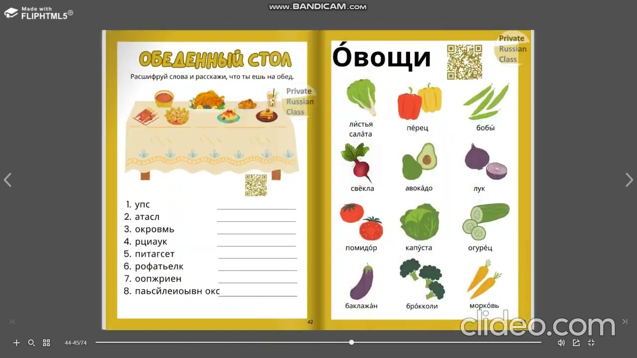 Пособие по РКИ Всякая всячина 2: сборник рабочих листов. #books #worksheet