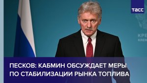 Песков: кабмин обсуждает меры по стабилизации рынка топлива