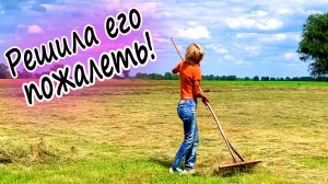ЗАГОТОВКА СЕНА В ЗАБРОШЕННОМ СЕЛЕ У ЛЕСА. ПРЕОДОЛЕВАЕМ ТРУДНОСТИ.