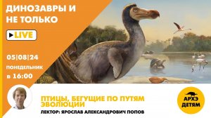 Занятие «Птицы, бегущие по путям эволюции»  кружка «Динозавры и не только» с Ярославом Поповым