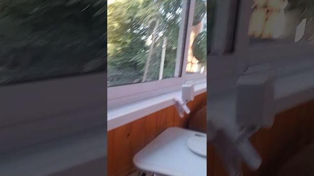 1000000445.mp4 смотреть онлайн