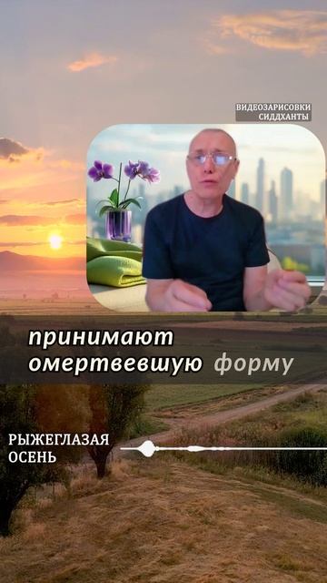 Рыжеглазая осень. Аудиокниги Сиддханты (Вячеслава Чернина)