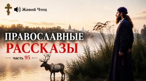 БОГАТАЯ СВЕКРОВЬ ИЗ ИТАЛИИ ГНОБИЛА НЕВЕСТКУ... ЛУЧШИЕ ПРАВОСЛАВНЫЕ РАССКАЗЫ часть 95