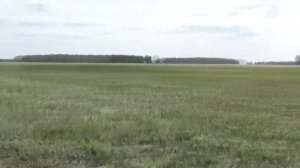 Кто скосил сено? Объезд территории.