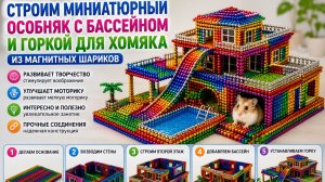 Строим миниатюрный особняк с бассейном и горкой для хомяка из магнитных шариков