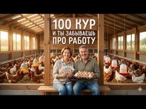 Сколько реально зарабатывают 100 кур в месяц: честные цифры, которые не показывают птицефабрики