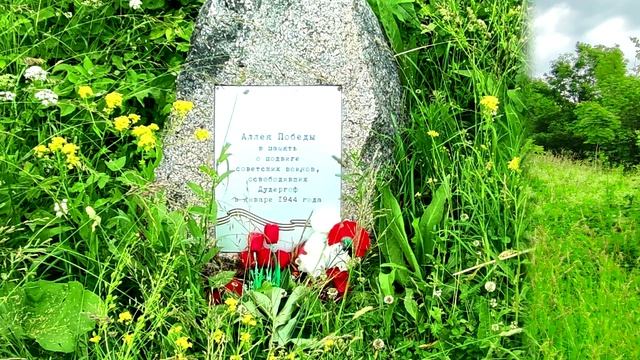 Экологический маршрут «Гора Воронья»