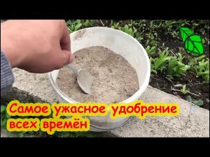 ЗОЛА - ПОЛЬЗА И ВРЕД ПОДКОРМКИ РАСТЕНИЙ ЗОЛОЙ. ПЛЮСЫ И МИНУСЫ древесной золы. Как использовать золу.